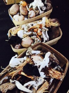 LA Funghi, Culver City farmers market