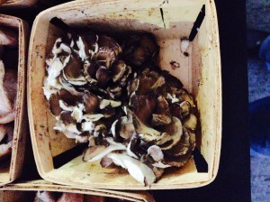 Hen of the Woods mushrooms. LA Funghi, Culver City farmers market