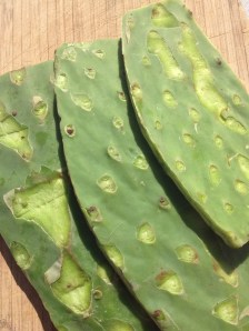 Nopales (cactus paddles)