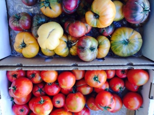 Heirloom Tomatoes. Culver City farmers market. I used the Purple Cherokee variety.