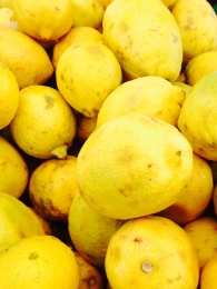 Lemons. La Cienega farmers market