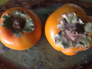 Fuyu persimmons. Plummer Park farmers market