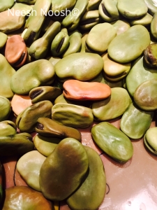Raw fava beans