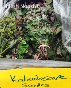 Twin Springs Fruit Farm, CSA Church Farmers Market, Bethesda, MD