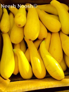 Zucchini. Potomac Farm Market. Cabin John, MD