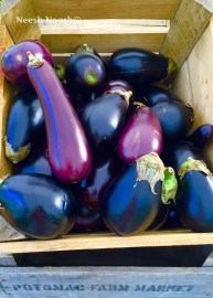 Eggplants. Potomac Farm Market, Cabin John, MD