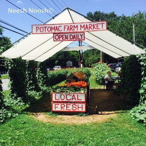 Potomac Farm Market, Cabin John, MD