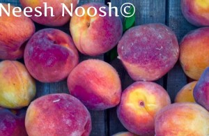 Peaches. Potomac Farm Market. Glen Echo, MD