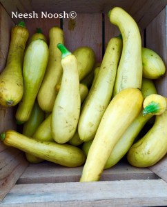 Summer Squash. Potomac Farm Market. Glen Echo, MD