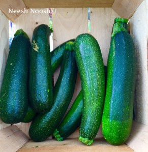 FullSizeRender(202)(1)