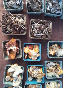 Mushrooms. Bethesda, MD farmers market